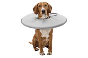 Psy - Trixie Protective collar polyester/foam XS: 23–27 cm/13 cm grey - TX19422