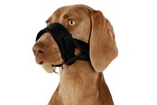 Psy - Trixie Muzzle loop nylon XL–XXL black - TX19283