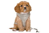 Psy - Trixie Junior Puppy Szelki Miękkie ze Smyczą Rozmiar S-M Obwód brzucha 26-34cm - TX15560
