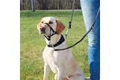 Psy - Trixie Top Trainer training harness S black - TX13002