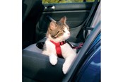Koty - Trixie Car cat harness 20–50 cm/15 mm red - TX1294