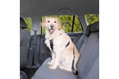 Psy - Trixie Car Harness Safety Belt L 70-90cm/25 mm Stomach Circum 70-90cm - TX1292