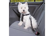 Psy - Trixie Car Harness Safety Belt XS 20-50cm/25 mm Stomach Circum 20-50cm - TX1288