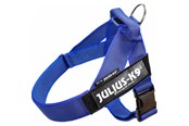 Psy - Julius-K9 C&G IDC harness size: 2 blue chest 67-94cm - H662646