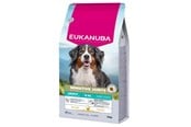 Psy - Eukanuba Special Care Adult Dogs with Sensitive Joints – dry dog food – 12 kg - DLPEUKKAS0062