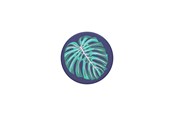 Telefon - Inne akcesoria - PopSockets Vintage Palm Leaf - 801078