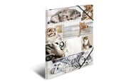 Teczka i podkładka z klipsem - HERMA Elasticated folder A3 cardboard cats - 19219