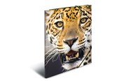 Teczka i podkładka z klipsem - HERMA Elasticated folder A4 PP Leopard - 7137