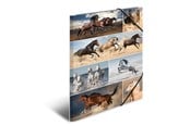 Teczka i podkladka z klipsem - HERMA Elasticated folder A3 cardboard horses - 19217