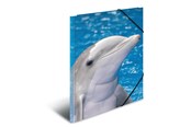 Teczka i podkladka z klipsem - HERMA Elasticated folder A3 PP Dolphin - 7146