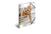 Teczka i podkladka z klipsem - HERMA Elasticated folder glossy animals A4 PP cats - 19328