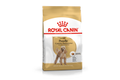 Psy - Royal Canin Poodle Adult 1.5kg - 3182550743174