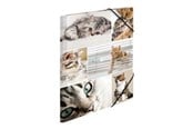 Teczka i podkladka z klipsem - HERMA 3-flap folder - for A4 - cats - 19212