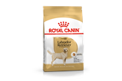 Psy - Royal Canin Labrador Retriever Adult 12kg - 3182550715645