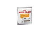Psy - Royal Canin Energy Treats for Dog 50g - 3182550784641