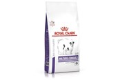 Psy - Royal Canin Mature Consult (Small Dogs) 3.5kg - 3182550782005
