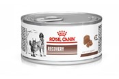 Psy - Royal Canin Vet Recovery Canine/Feline 195g - 9003579307717
