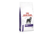 Psy - Royal Canin Adult Large Dog 13kg - 3182550925105