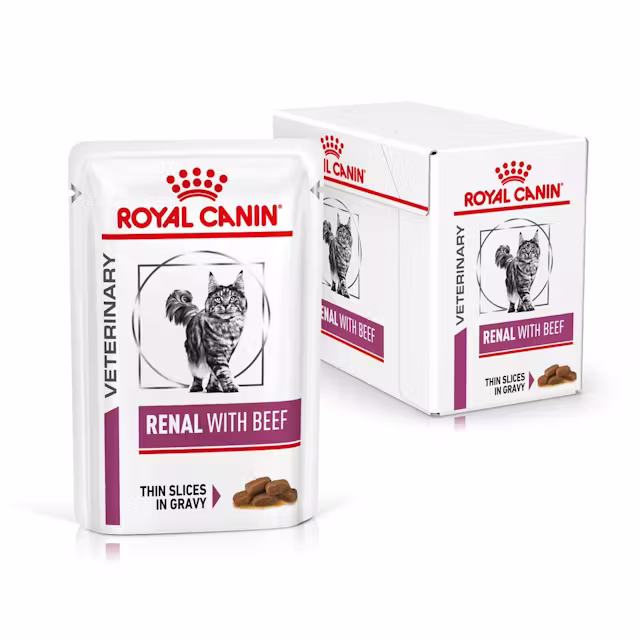 Koty - Royal Canin Renal with Beef Thin Slices In Gravy 85g (12-Pack) - 9003579000489