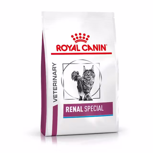 Koty - Royal Canin Renal Special Dry Food for Cats 400g - 3182550917049
