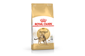 Koty - Royal Canin Bengal Adult 10kg - 3182550865111