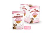Koty - Royal Canin Kitten Sterilised Jelly 12 × 85 g - 9003579007167