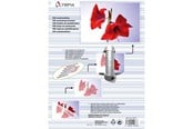 Laminowanie - Olympia - laminated tape - 100 pcs. - A4 - 9176