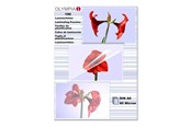 Laminowanie - Olympia - 100 pcs. - A6 - lamination film - 9168