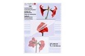 Laminowanie - Olympia - laminated tape - 100 pcs. - A6 - 9178