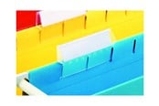 Koszulki, ofertówki i przekladki - Esselte Pendaflex - 94524