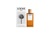 Perfumy i zapachy - LOEWE Solo Pour Homme EDT 100 ml - 100 ml - 8426017070478