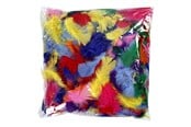 Artykuly Artystyczne & Rzemieslnicze - Creativ Company Creativ Feathers - 51661