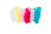 Artykuły Artystyczne & Rzemieślnicze - Creativ Company Feathers in Various Colors 11-17cm 18pcs. - 518490