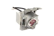 Lampa do projektora - ViewSonic RLC-126 - projector lamp - RLC-126