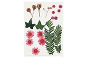 Artykuly Artystyczne & Rzemieslnicze - Creativ Company Dried Flowers and Leaves Light Red 19 pcs. - 504471