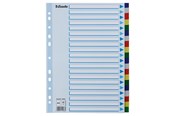 Koszulki, ofertówki i przekladki - Esselte Faneblad PP A4 20-delt flerfarve - 10K217C