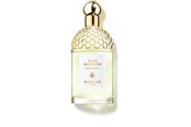 Perfumy i zapachy - Guerlain Aqua Allegoria Herba Fresca Eau de Toilette 125ml - P-P0-404-02