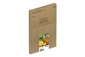 Tusz, toner i materiał eksploatacyjny - Epson 604 Multipack Easy Mail Packaging - 4-pack - XL - black yellow cyan magenta - original - ink cartridge - C13T10G64510