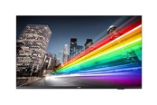 Monitory reklamowe i Telewizory hotelowe - Philips 43BFL2214 B-Line Professional Series - 43" LED-backlit LCD TV - 4K - for digital signage - 43BFL2214/12