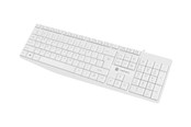 Klawiatura - Natec Nautilus - keyboard - QWERTY - US - white - Klawiatury - Angielski (US) - Biały - NKL-1951