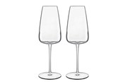 Zastawa stołowa - Luigi Bormioli Champagne glass Talismano 40 cl 2 pcs Clear - 0032622027554