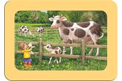 Puzzle - Ravensburger Exploring The Farm 3x6pcs - 05679