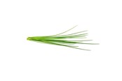 Inteligentny dom - Click & Grow Smart Garden Refill 3-pack - Chives - SGR38X3