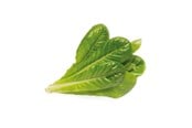 Inteligentny dom - Click & Grow Smart Garden Refill 3-pack - Romaine Lettuce - SGR50X3