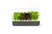 Inteligentny dom - Click & Grow Smart Garden 9 Starter kit - SG9S8UNI