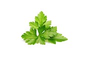 Inteligentny dom - Click & Grow Smart Garden Refill 3-pack - Cilantro/Coriander - SGR45X3