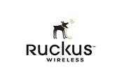 Serwis i wsparcie - Ruckus Wireless Ruckus Partner WatchDog Premium Support - 827-2500-1000