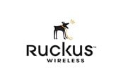 Serwis i wsparcie - Ruckus Wireless Ruckus Partner WatchDog Premium Support - S02-0001-1LSG