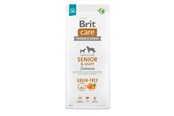 Psy - Brit Senior&Light Salmon - dry dog food - 12 kg - 100-172207