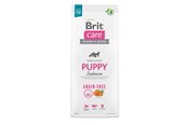 Psy - Brit Care Dog Grain-free Puppy Salmon 12 kg - BH3401200
